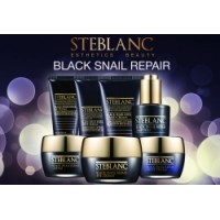 Black Snail Repair Black Snail Repair